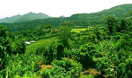 Guadeloupe, Basse-Terre, Trois-Rivières