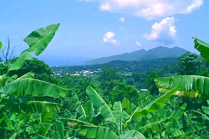 guadeloupe, basse-terre view, trois-rivières