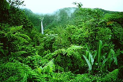 guadeloupe, pointe-a-pitre, shopping