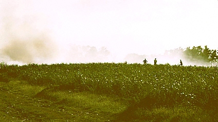 Marie-Galante, burning sugar cane