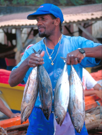 martinique, fishing, fisherman