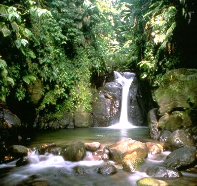 martinique,waterfall, river, rainforest, rain forest